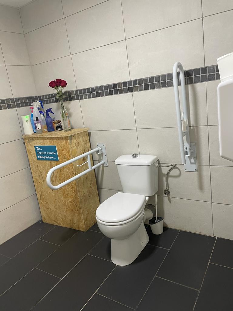 Toilet with handicap facilities
