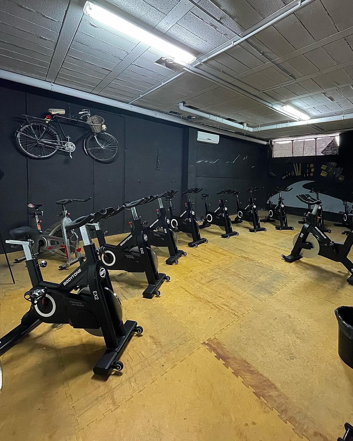 Gym for sale in Rojales